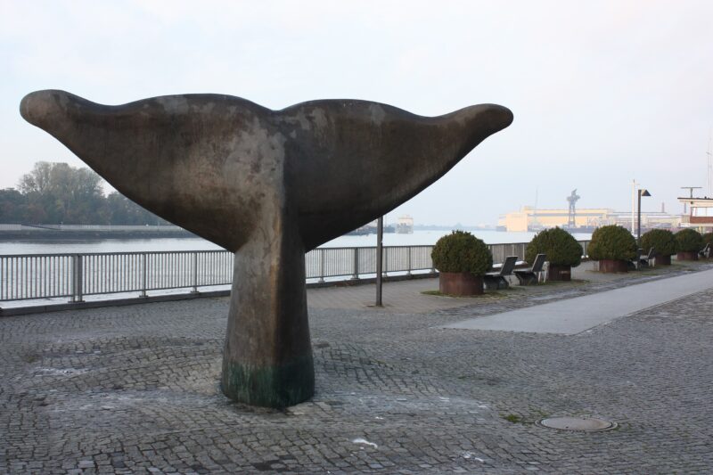 Skulptur einer Walschwanzflosse von Uwe Häßler in Bremen-Vegesack